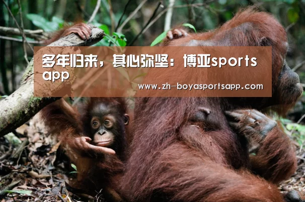 多年归来,其心弥坚:博亚sportsapp(图2) 博亚sportsapp