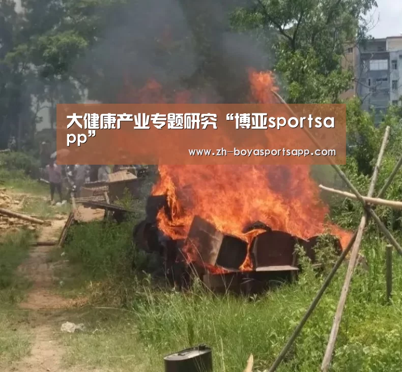 大健康产业专题研究“博亚sportsapp”(图2) 博亚sportsapp