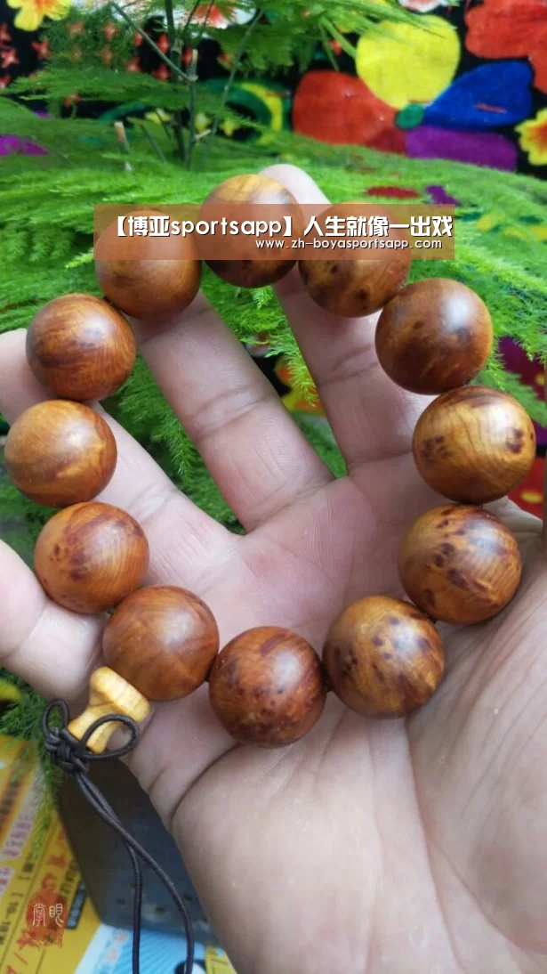 博亚sportsapp
